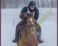 1CHARMEY- 0032